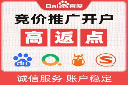 百度竞价策略解析：案例分析及优化建议